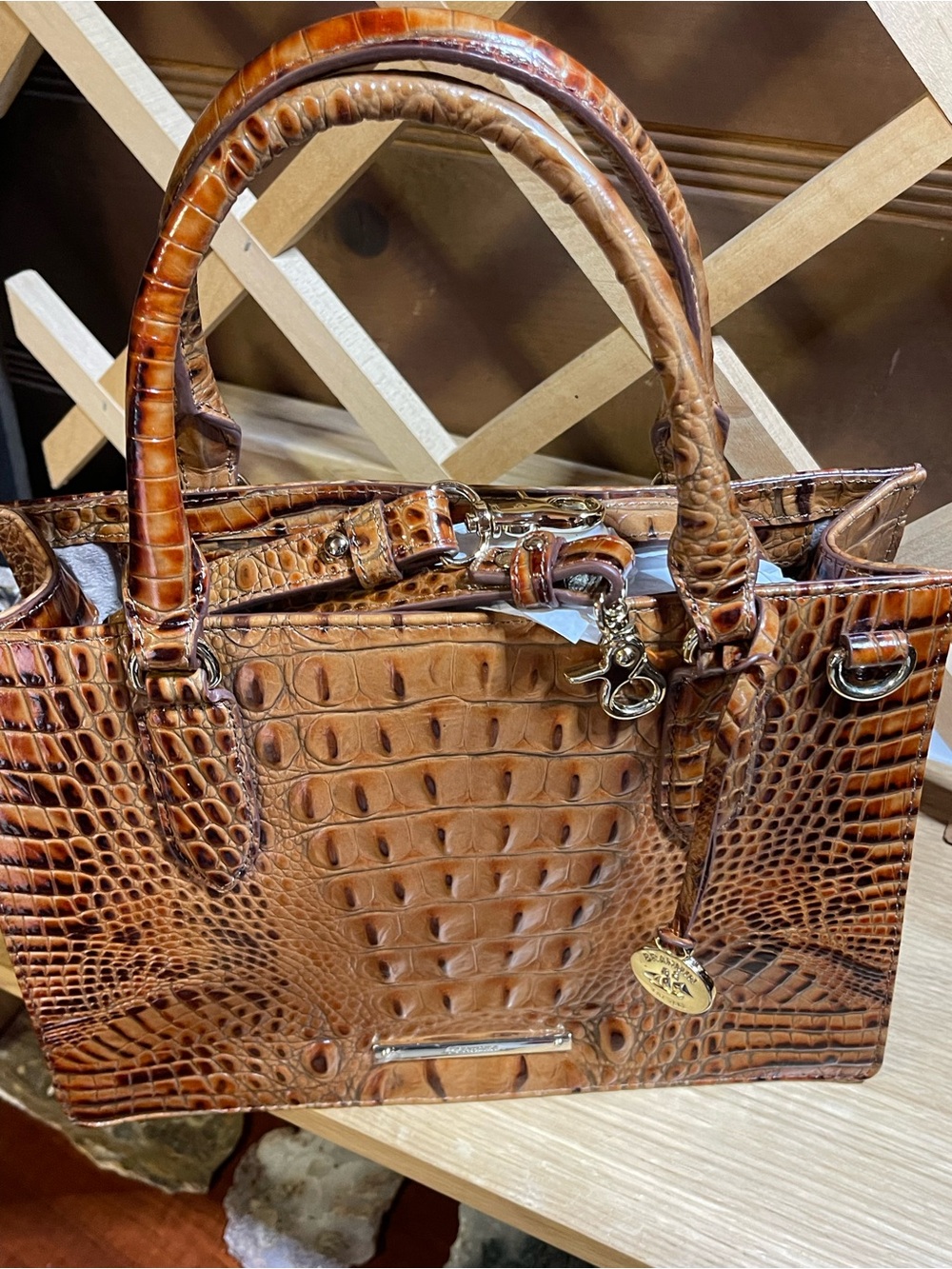 NWOT Brahmin Pecan Melbourne Ombré M Finley Carryall Satchel